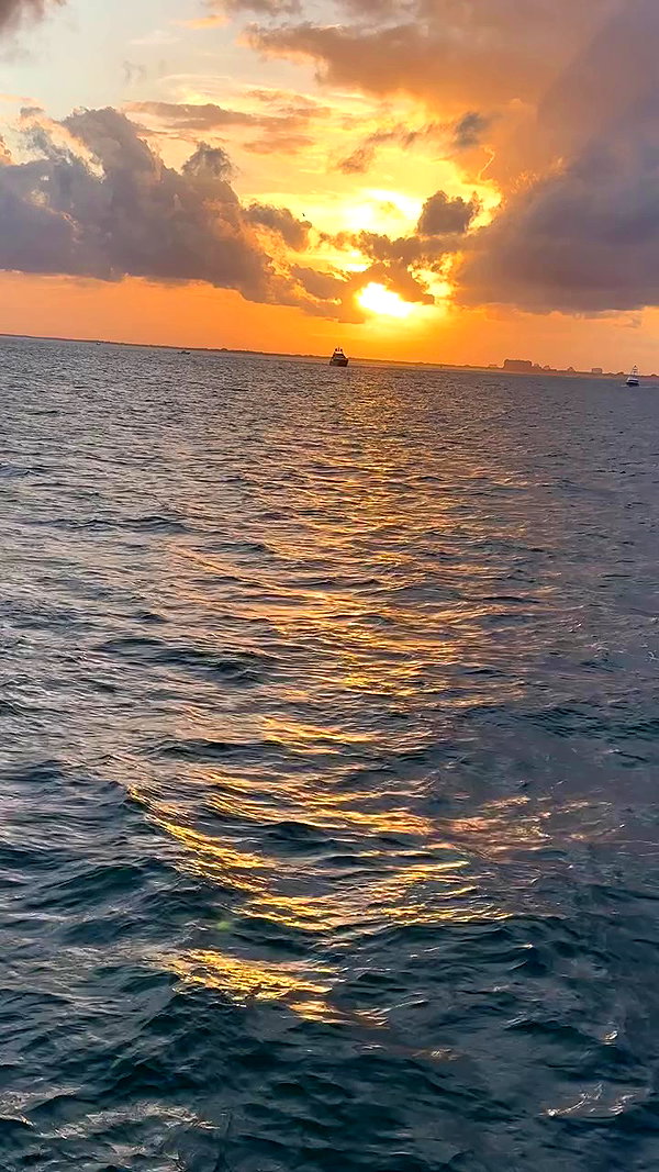 taylor.creeden archive video preview