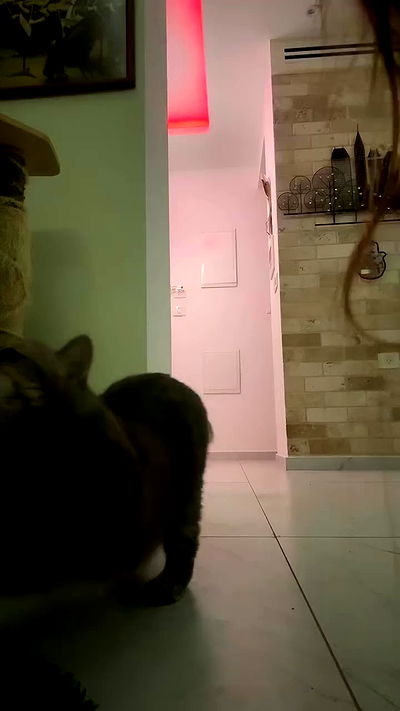 natalllluli natalllluli archive video