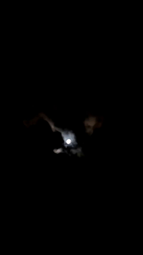 noctkiises archive video preview