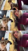 cellow111 Altpins Profile Picture