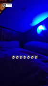 marijana_t__ Altpins Profile Picture