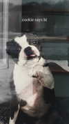 rachelchaleff Altpins Profile Picture