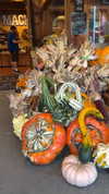 karin_orhov Altpins Profile Picture
