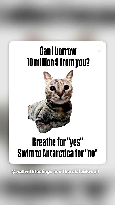 noale4774 noale4774 archive video