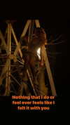 shai_landau_ Altpins Profile Picture