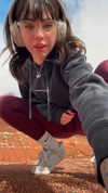 7lems7 Altpins Profile Picture