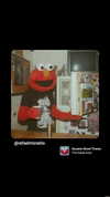 shayli_or Altpins Profile Picture