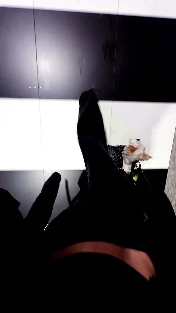 kkwwwv archive video preview