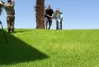 yaeel_k Altpins Profile Picture