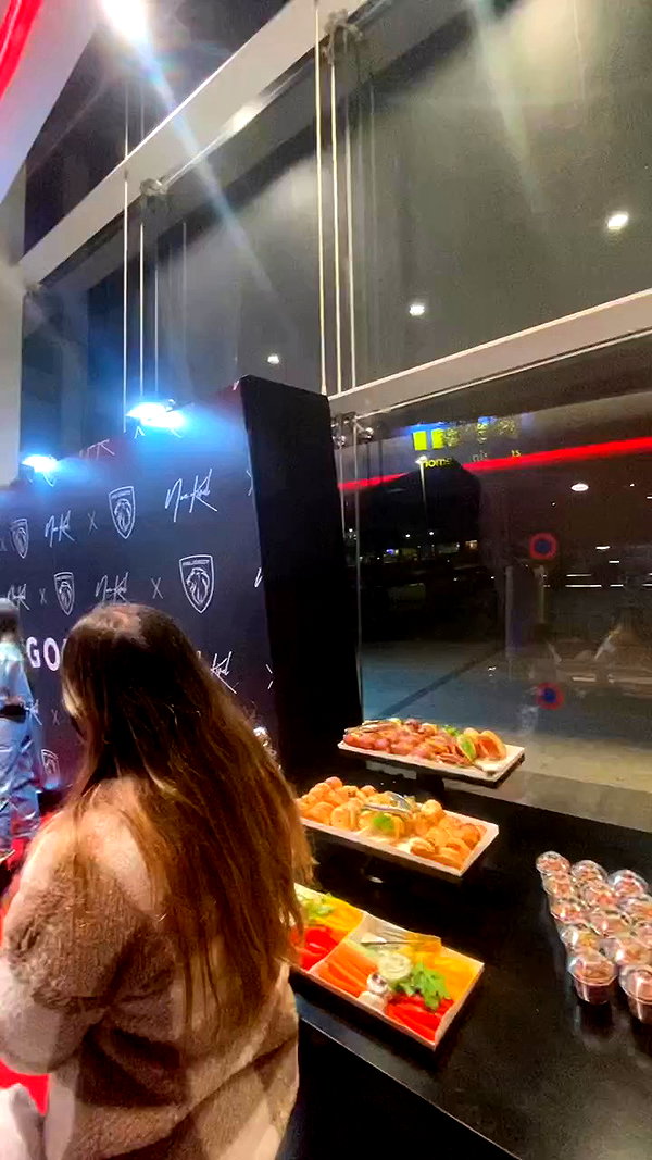 mikaveltman archive video preview