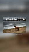 _ann.kim_ Altpins Profile Picture