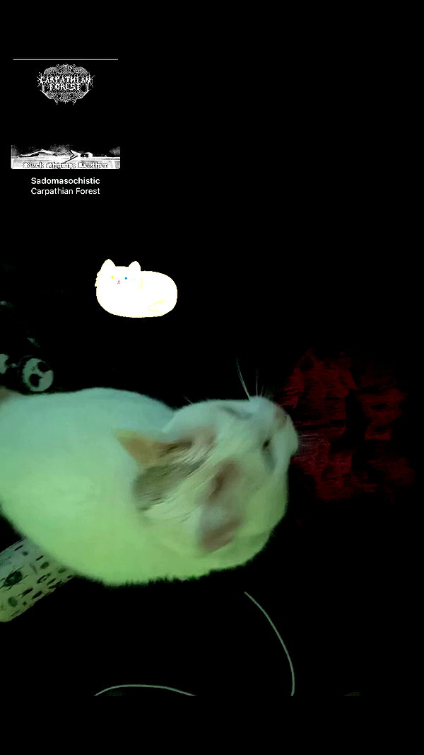 butter.on.a.poptart69 archive video preview