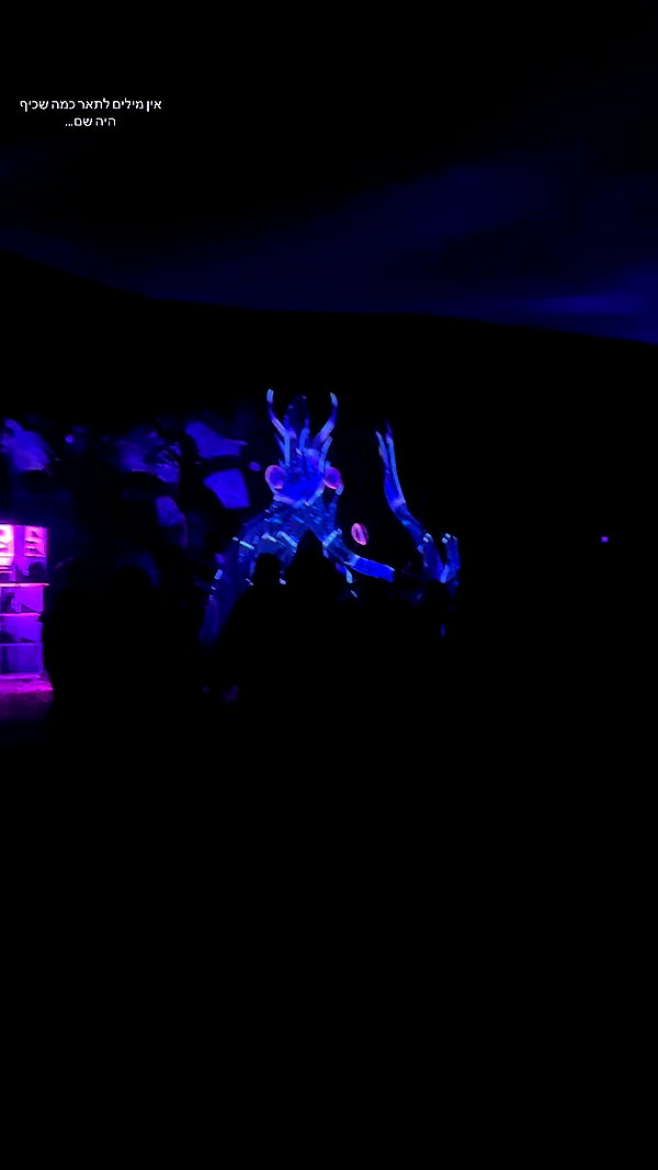 _.shelichka._ archive video preview