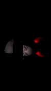 dustheadd Altpins Profile Picture