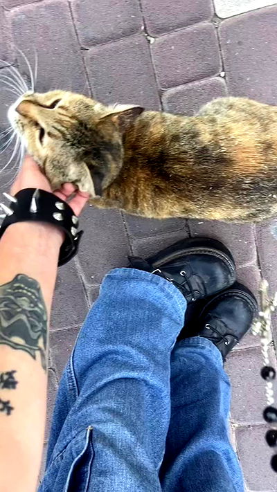 feelbetterinmysweater feelbetterinmysweater archive video