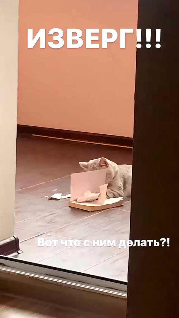 pokrov90 archive video preview
