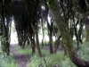 danafetishistova Altpins Profile Picture