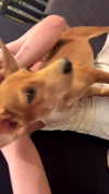 mariacherry_girl Altpins Profile Picture