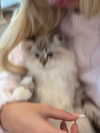 sophiecharlotth Altpins Profile Picture