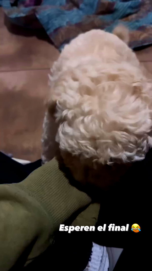 _aldibernardo archive video preview