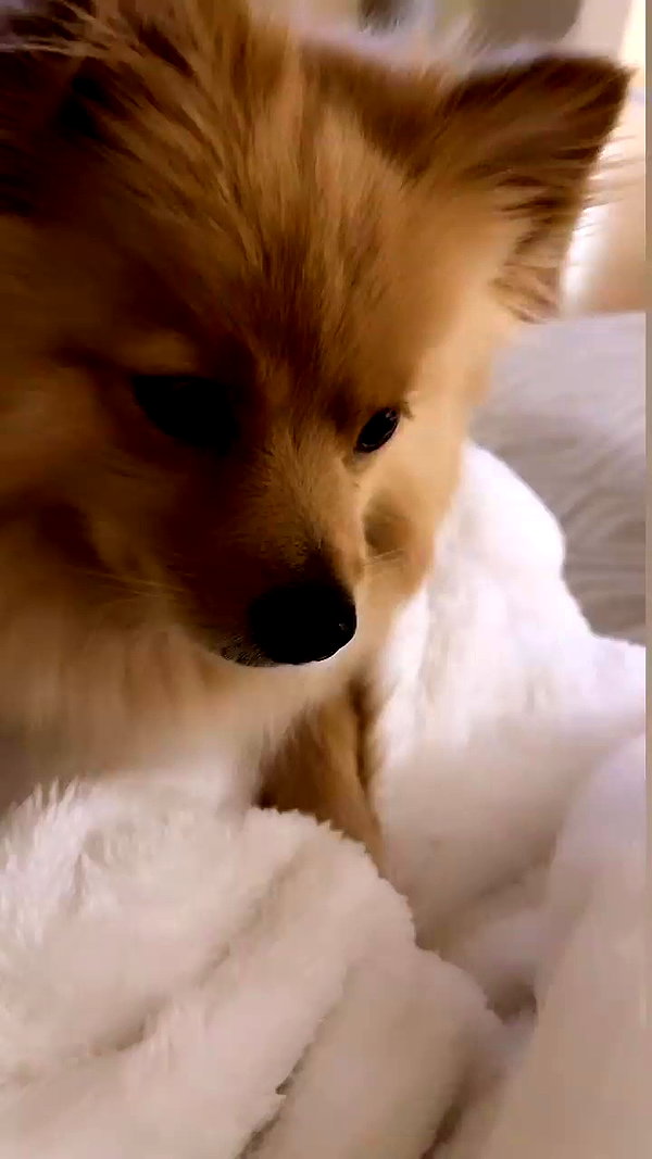 sunnyrayyxo archive video preview