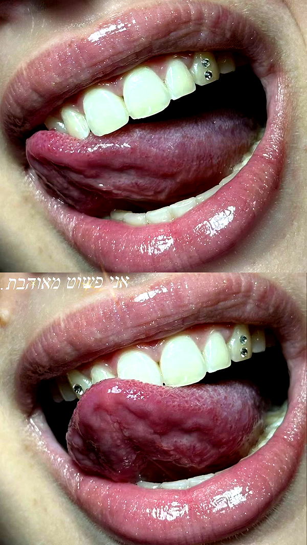 _wizardmidget_ archive video preview