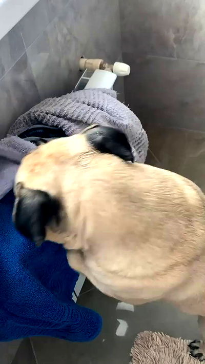 nyityam nyityam archive video