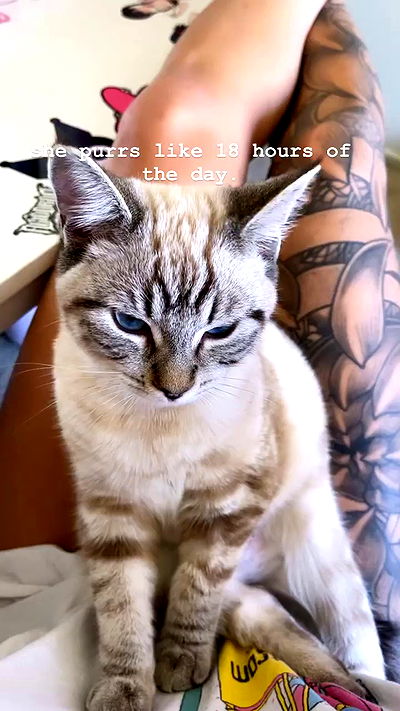 suikomuu suikomuu archive video