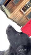 elsgatti Altpins Profile Picture
