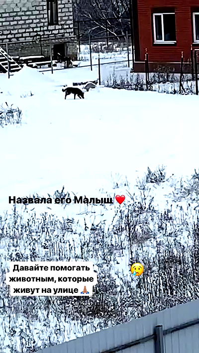 nyityam nyityam archive video