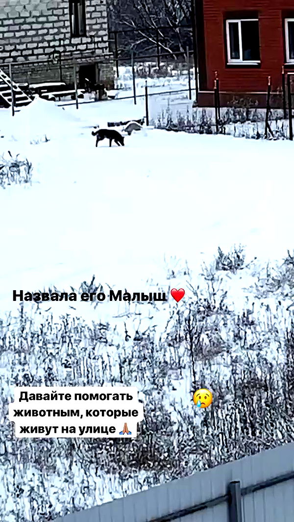 nyityam archive video preview