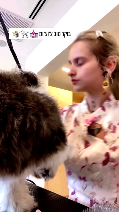 strawberryshanz strawberryshanz archive video