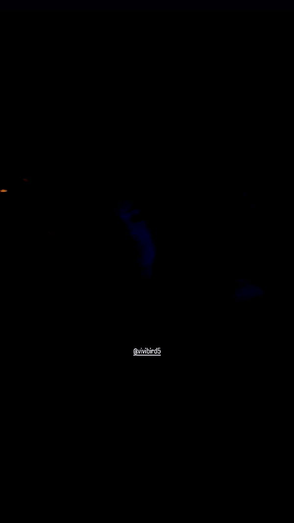 _lil_noa_ archive video preview