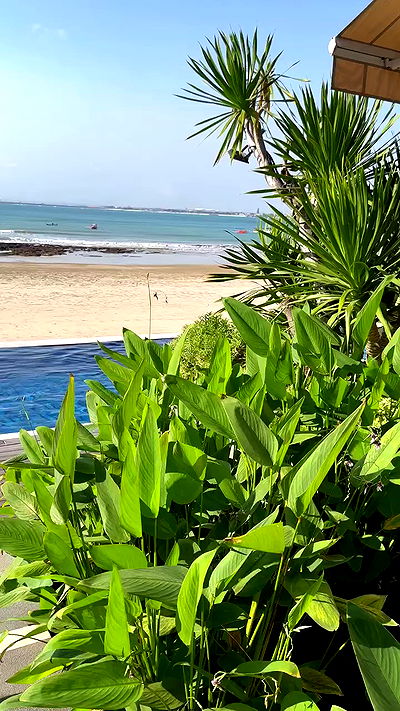 taylor.creeden taylor.creeden archive video