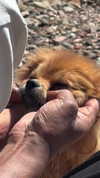 babynympho_archive Altpins Profile Picture