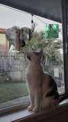 livindeadyaz Altpins Profile Picture