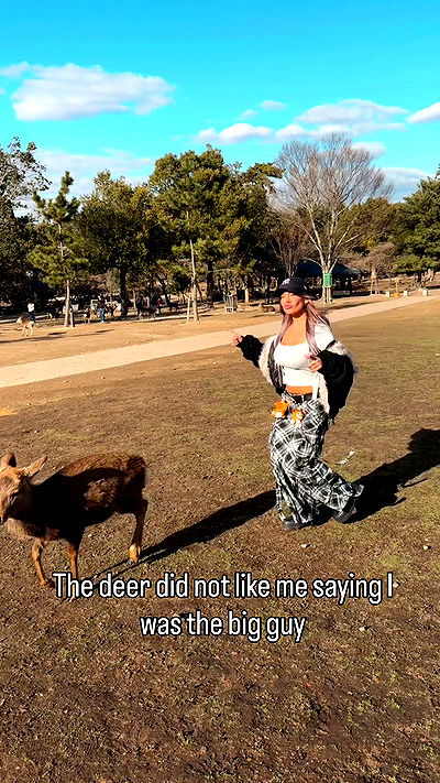 itshayleydavies itshayleydavies archive video