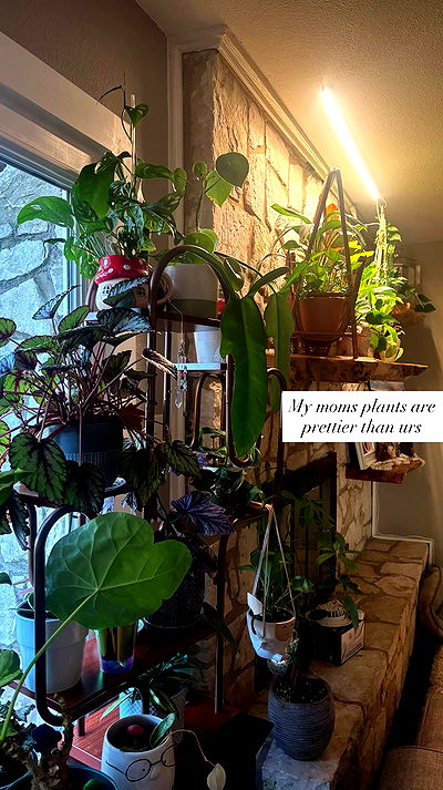 tatum.ricee tatum.ricee archive video