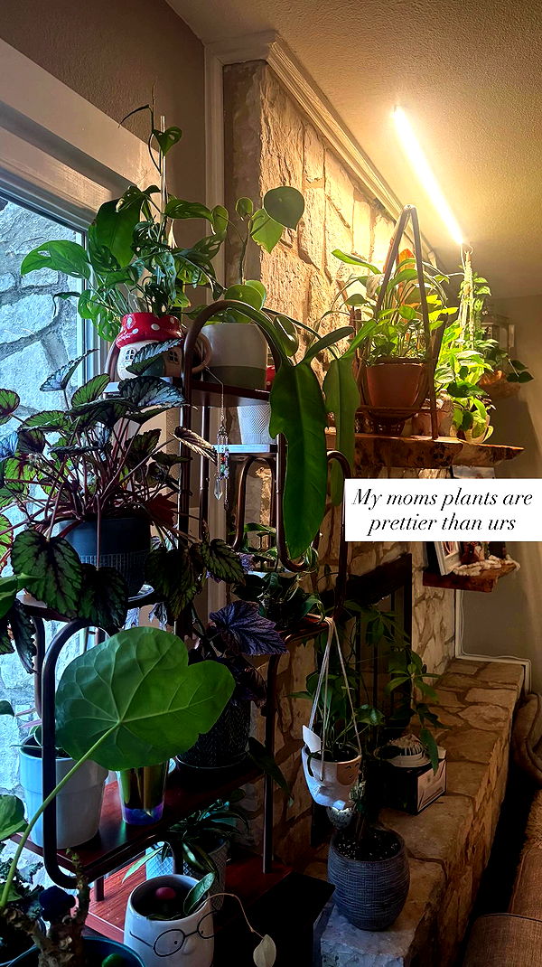 tatum.ricee archive video preview