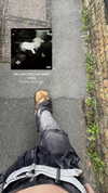 alice_hez Altpins Profile Picture
