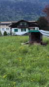 lotembar Altpins Profile Picture