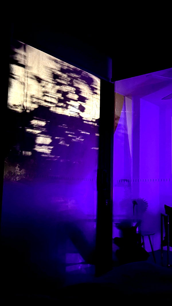 livindeadyaz archive video preview