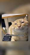 cyber.rue Altpins Profile Picture