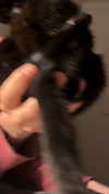 hey.its.yammy Altpins Profile Picture