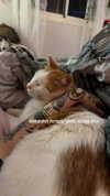 strawberryshanz Altpins Profile Picture