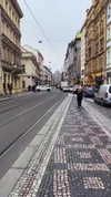 nikolpeleg Altpins Profile Picture