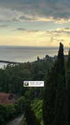 1vecua Altpins Profile Picture