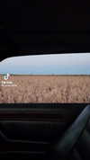 _ociaa_05 Altpins Profile Picture