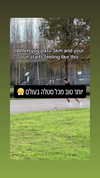 vadim_evs Altpins Profile Picture