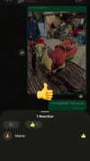 assoolin Altpins Profile Picture